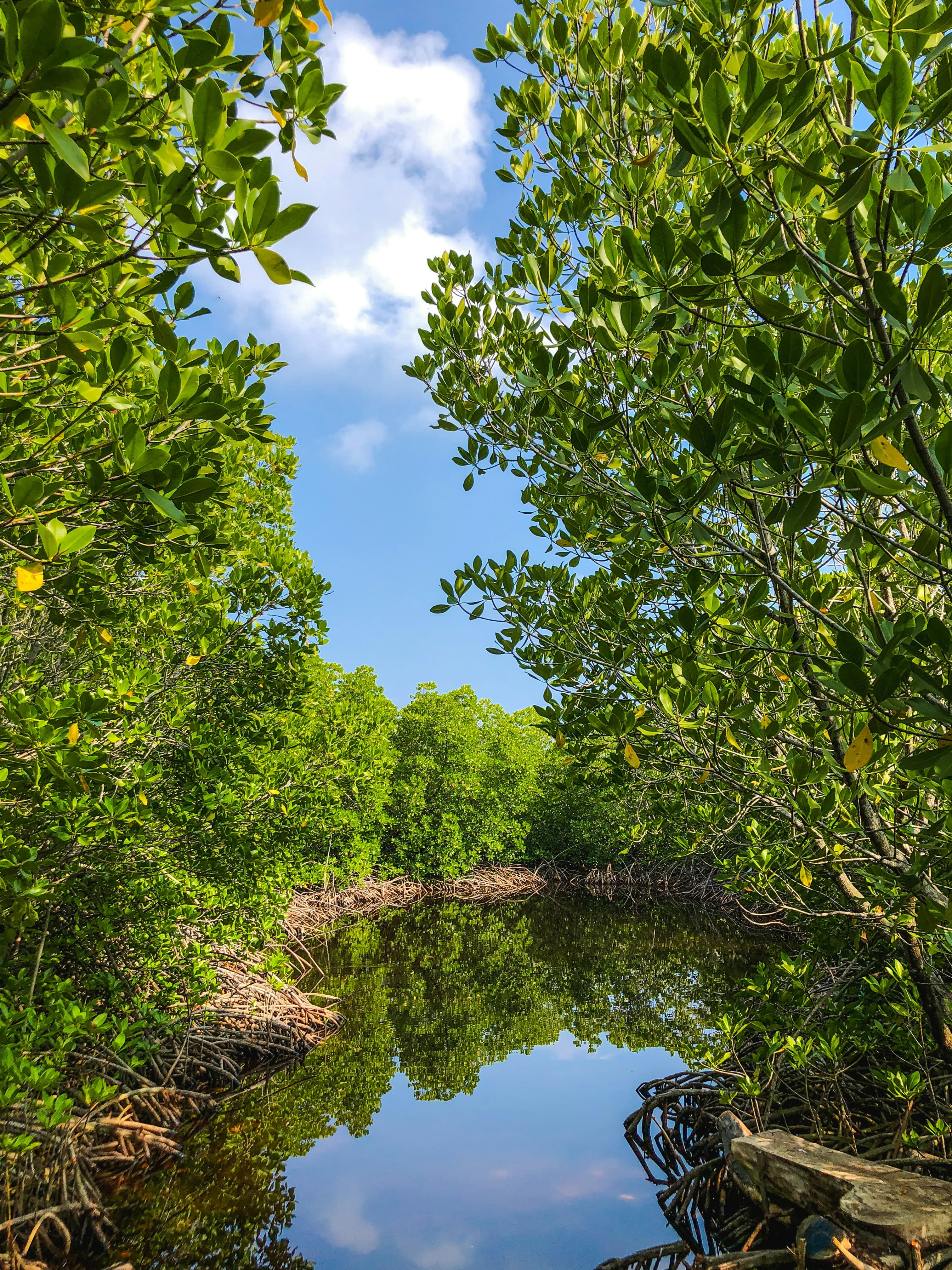 Sundarbans Expedition Cruise photo 5