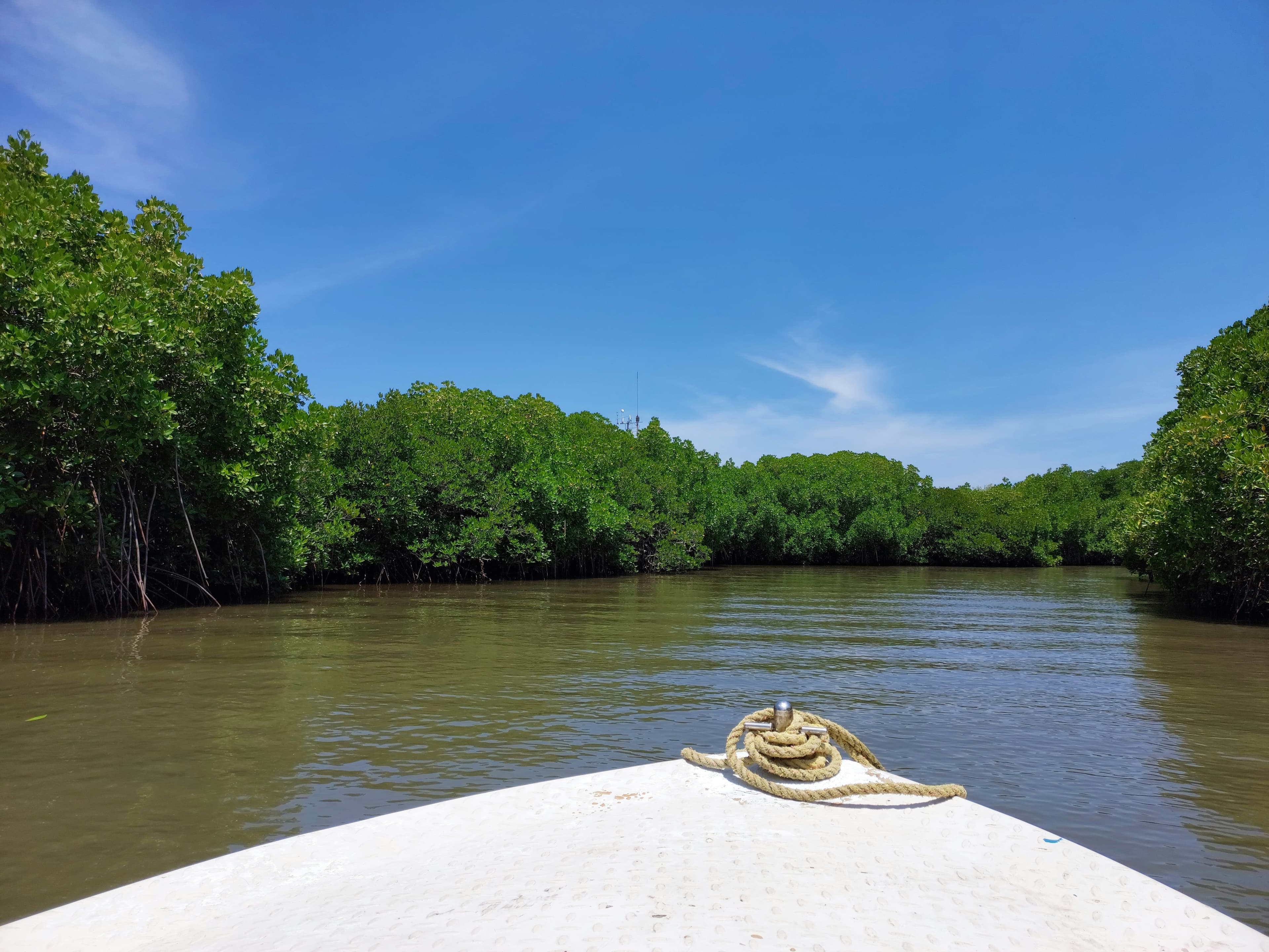 Sundarbans Expedition Cruise — 3 days in the land of the Royal Bengal Tiger