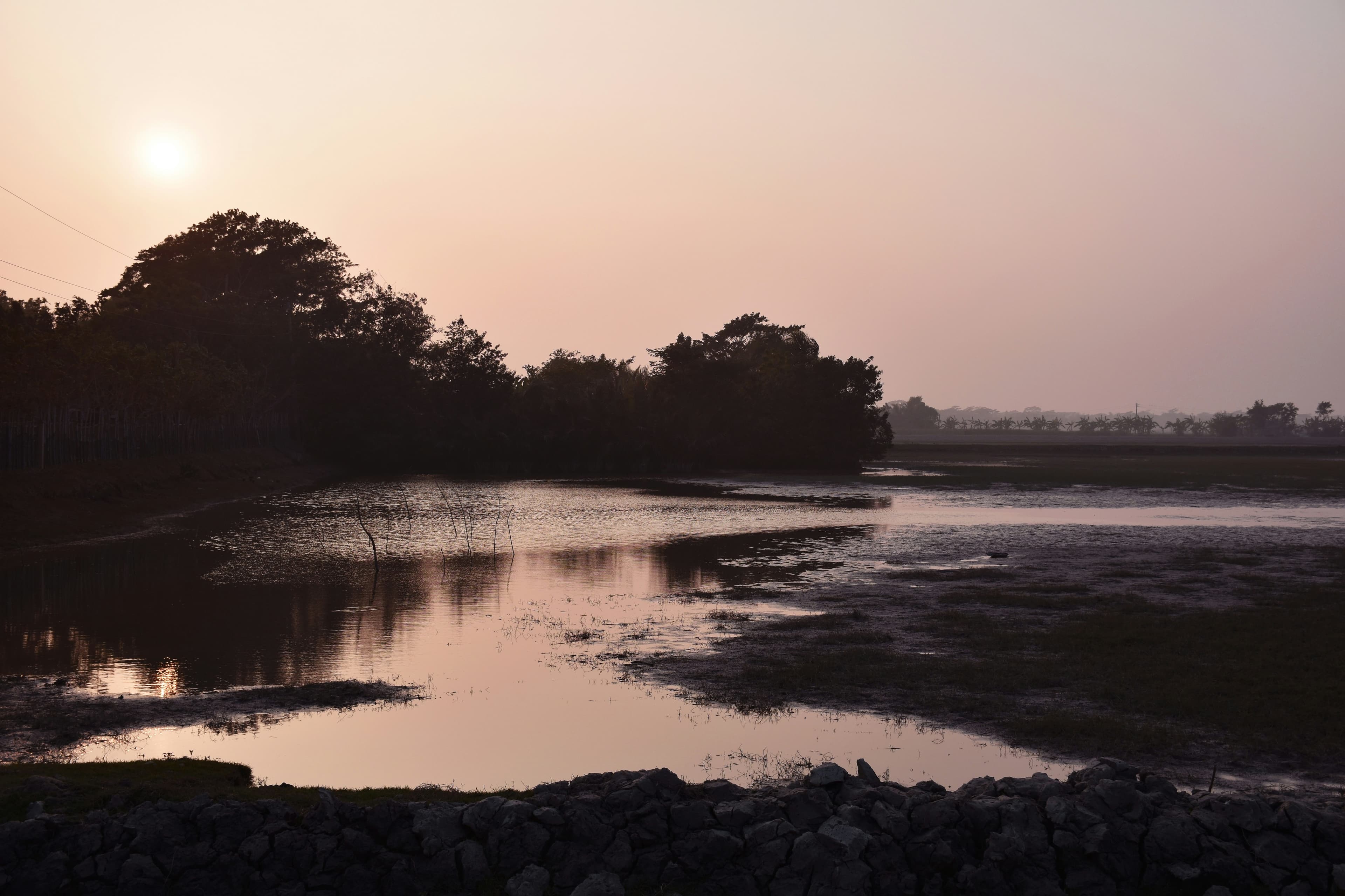Sundarbans — photo 4